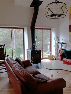 TV, fireplace, DVD player, books