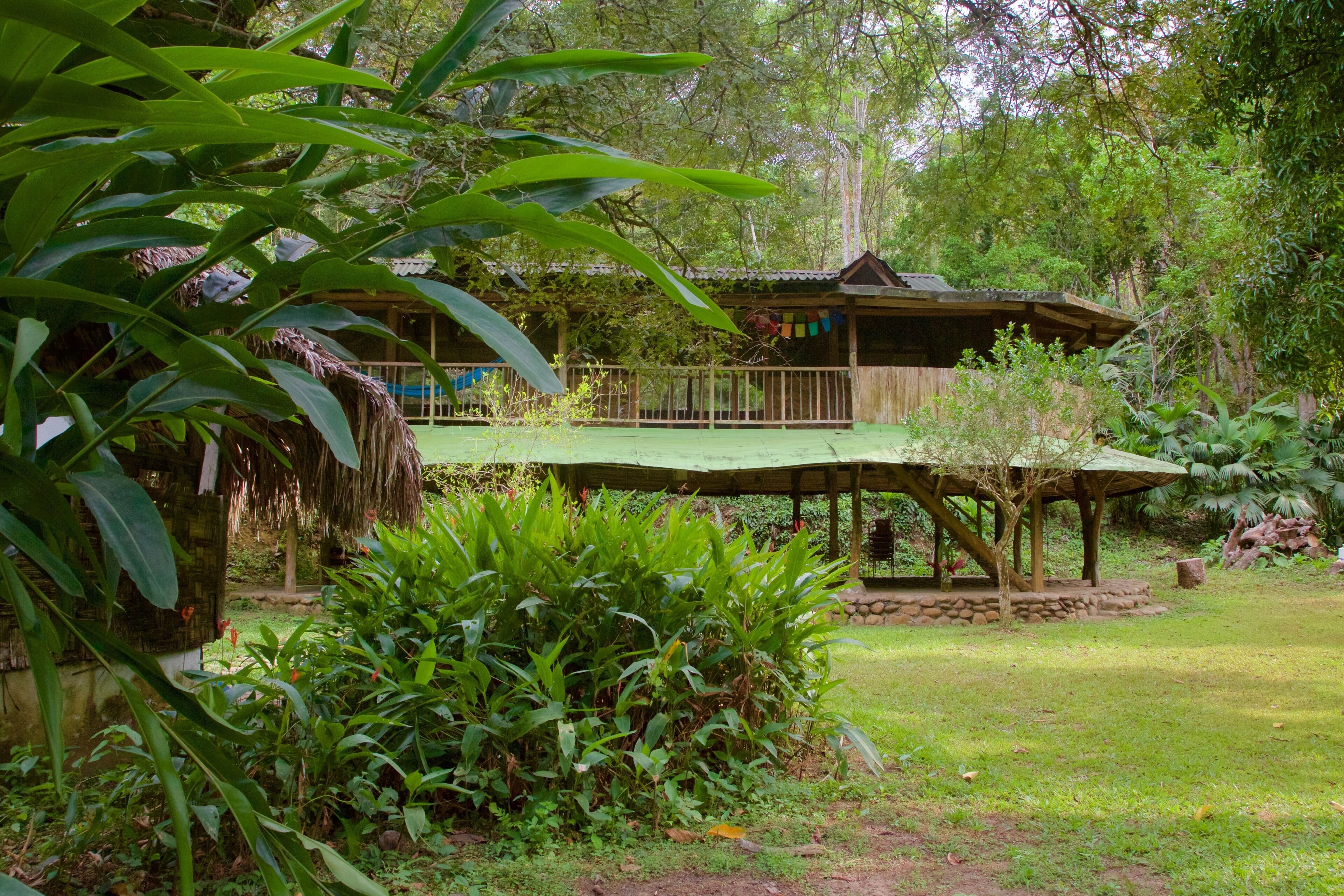 Yumake! an organic experience...