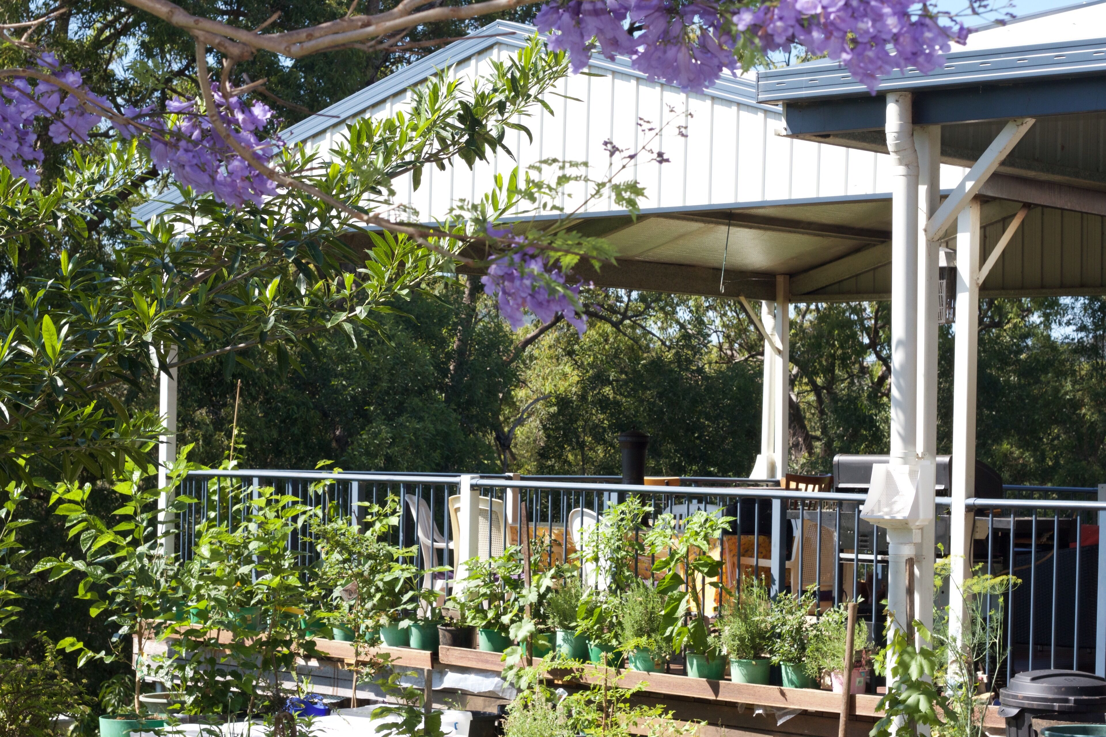 Gold Coast Hinterland Farmstay