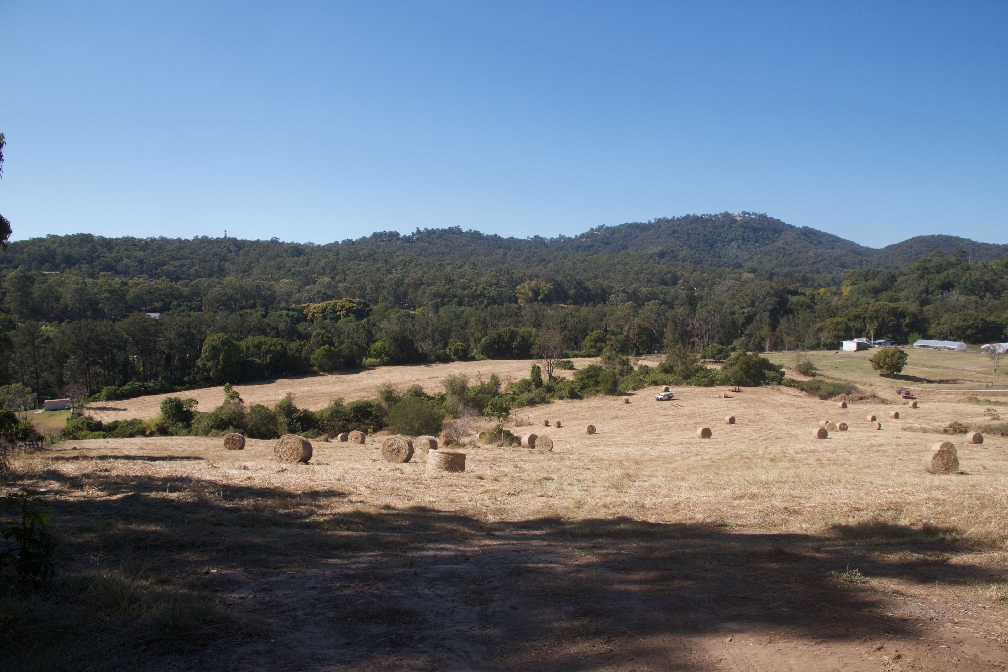Gold Coast Riverfront Farmstay