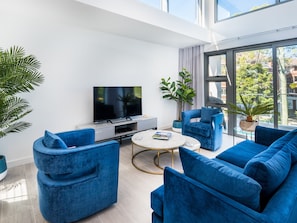 تلفزيون، مشغل دي في دي