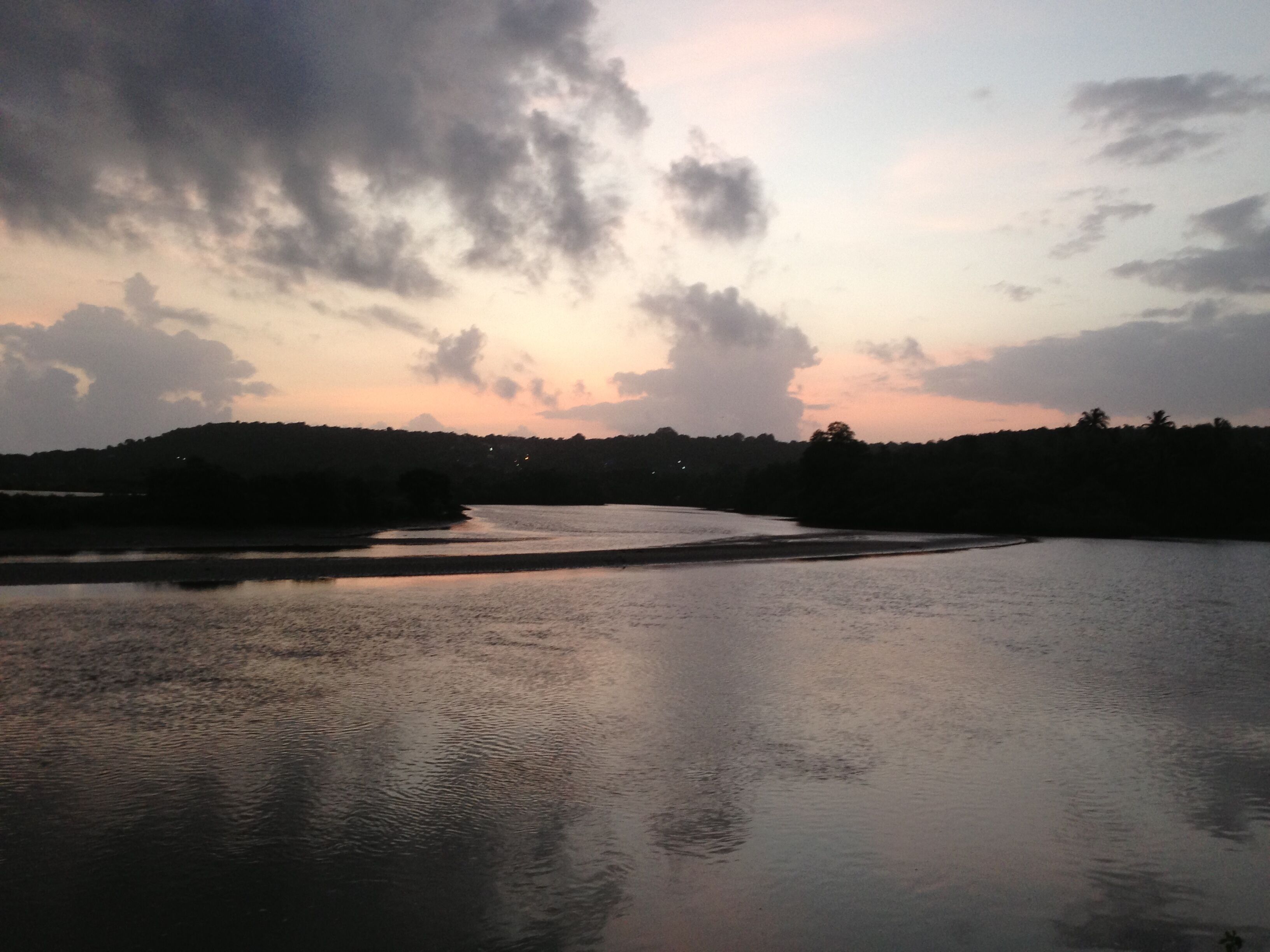 The Estuary Villa with a Private Pool , Candolim