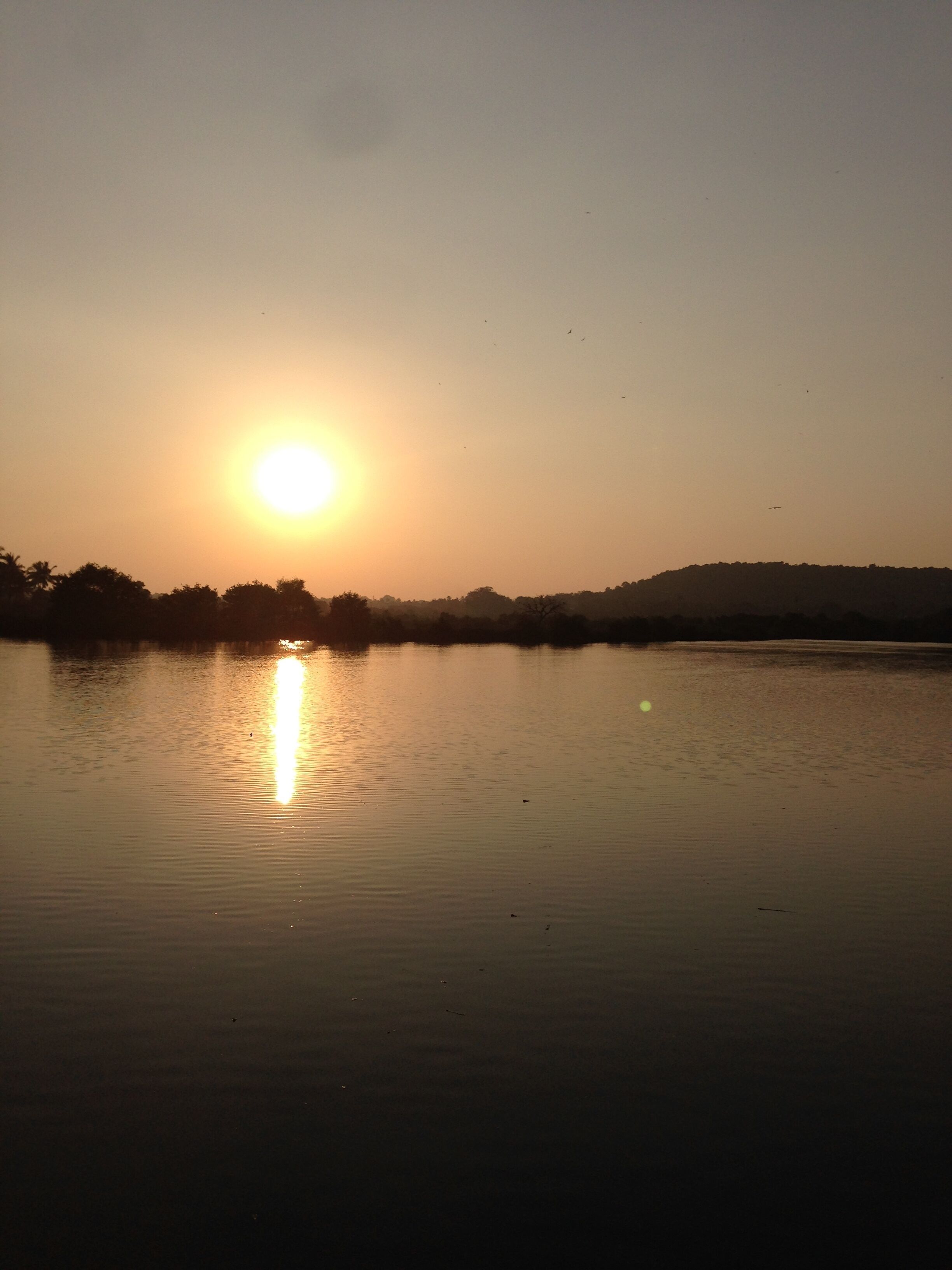 The Estuary Villa with a Private Pool , Candolim