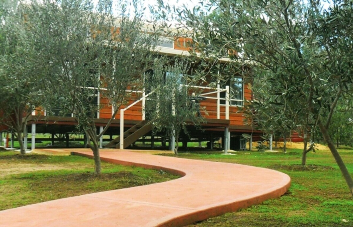 Foto de perfil del anfitrión