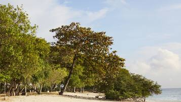 En la playa, camastros y toallas de playa