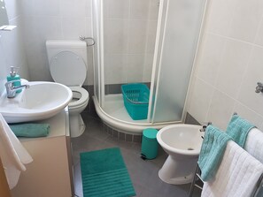 Shower, hair dryer, bidet, towels