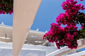 Exterior detail - SEA VIEW VILLA, IDEAL FOR RELAXATION  (PAROS)
