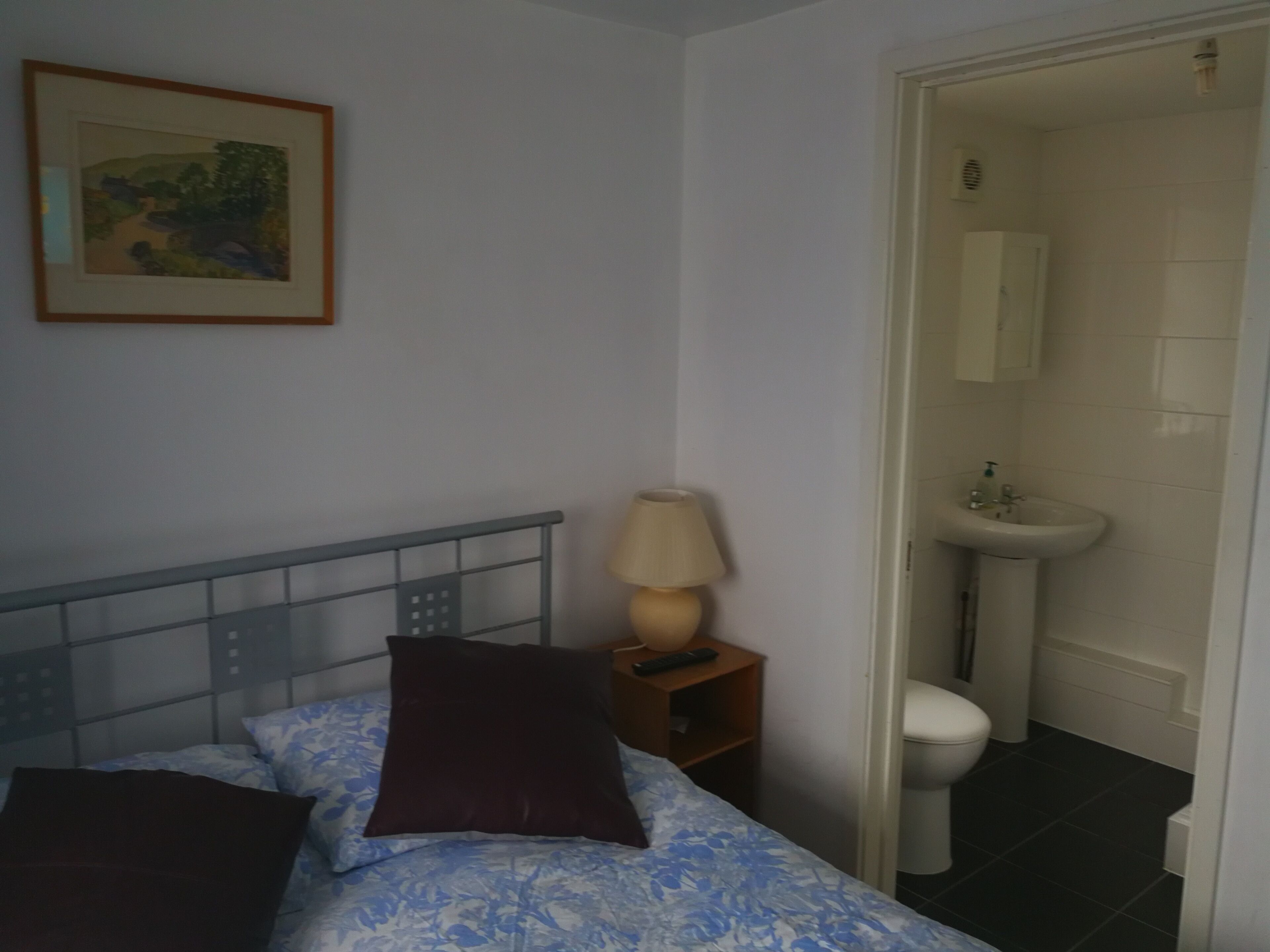 En-suite double room with shared kitchen 15 minute-walk away from King's College