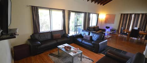 TV, DVD player, books, music library