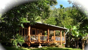 Uma cabana de madeira com varanda, rodeada por vegetação exuberante.