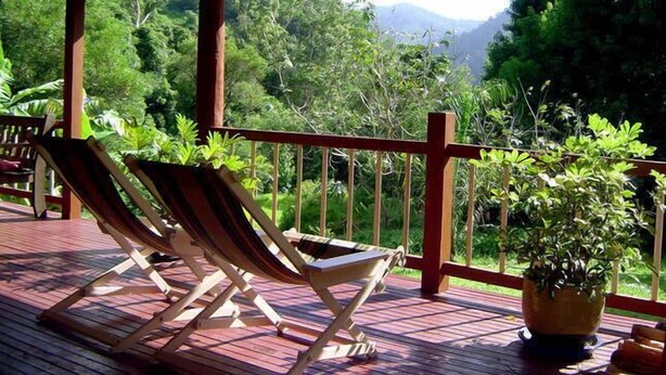 Um deck de madeira com duas cadeiras de descanso e um vaso com planta.