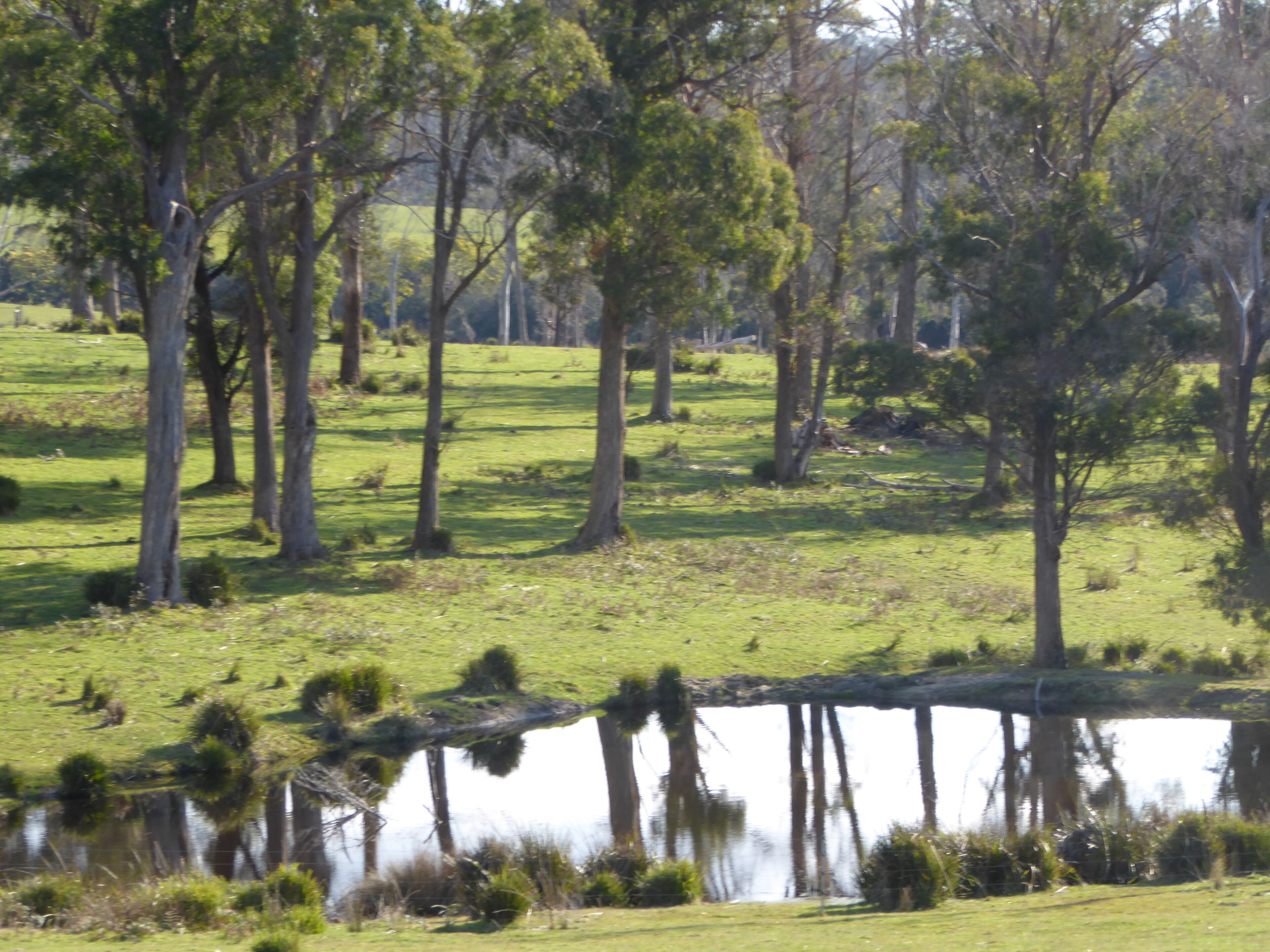 Platypus Park Country Retreat - Forester Apartment WiFi — image 10