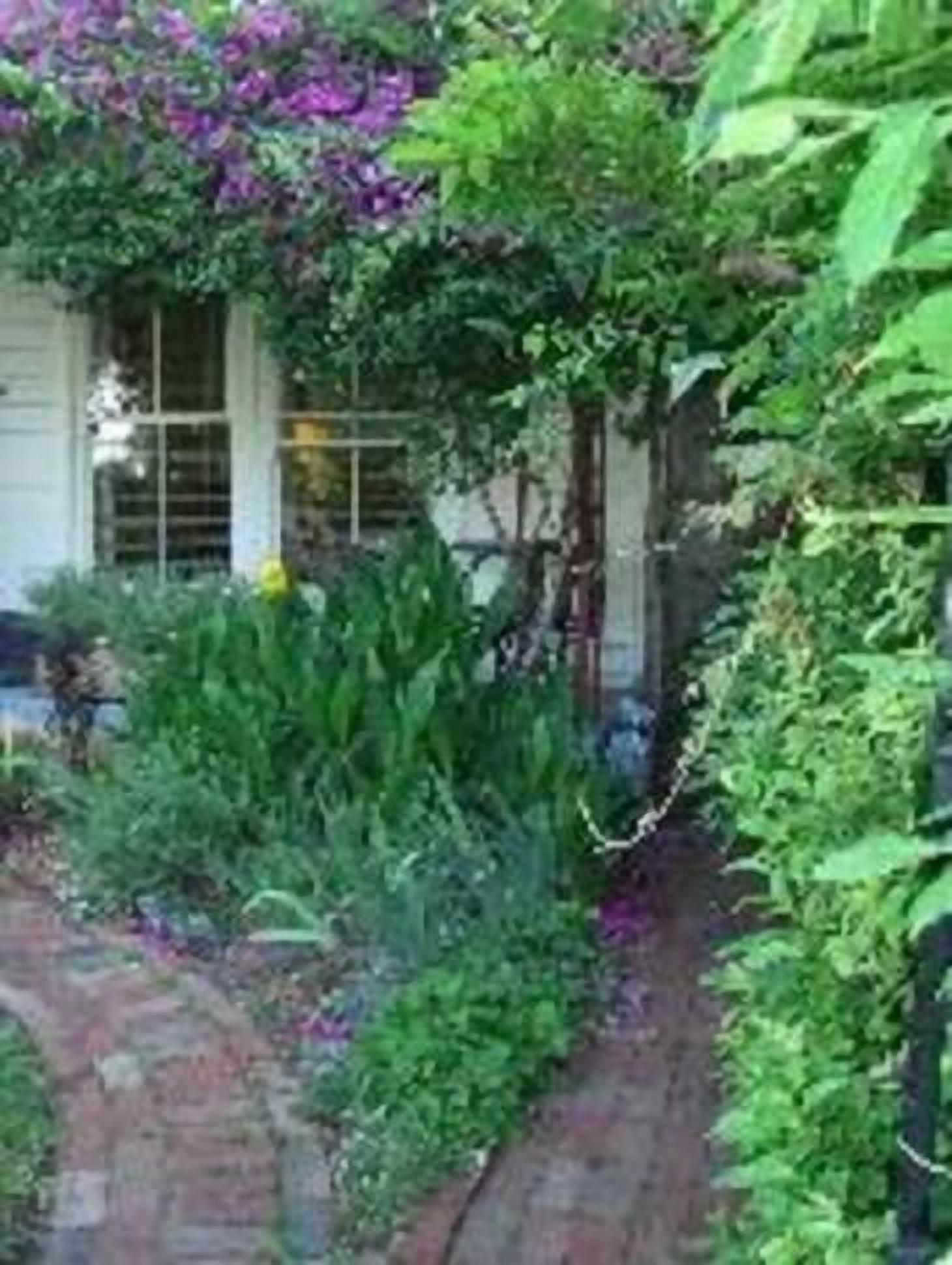 St Kilda Cottage - A family home and garden in vibrant beachside St Kilda