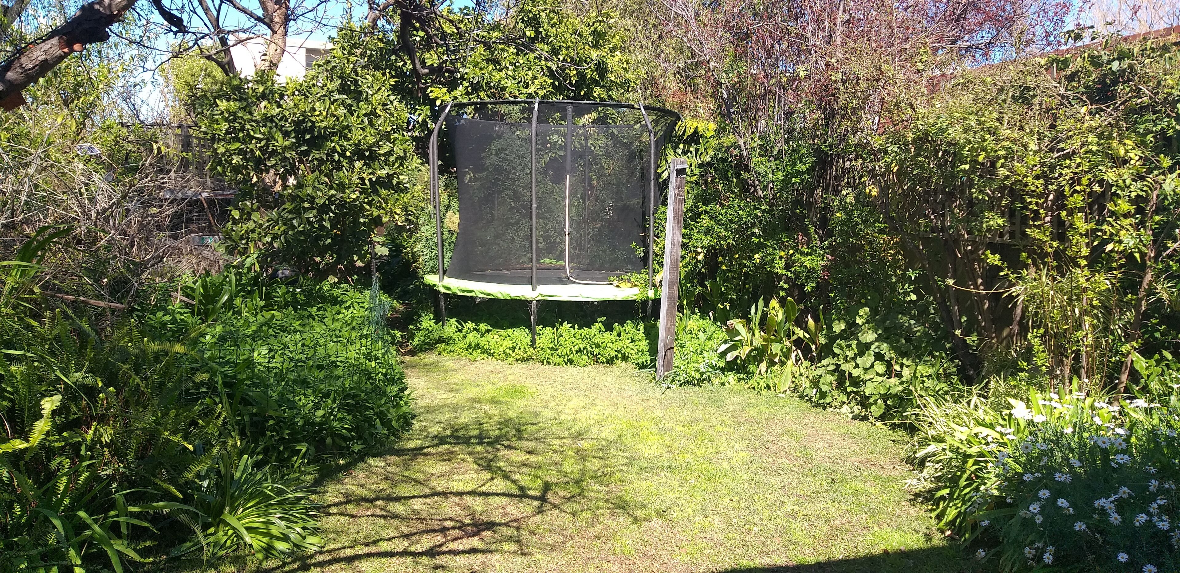 St Kilda Cottage - A family home and garden in vibrant beachside St Kilda — image 15