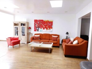 Smart TV, chimenea, reproductor de DVD y libros 