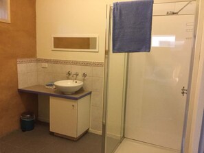 Shower, towels, soap, toilet paper