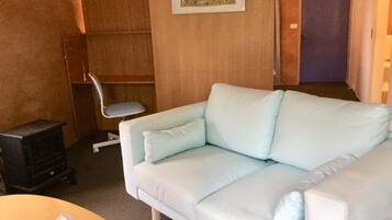 Televisión, reproductor de DVD, videoteca y estéreo