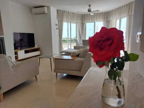 TV connectée, cheminée, jeux vidéo, lecteur de DVD