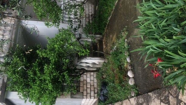 A stone pathway leading to a small garden area with a variety of plants and a red flower. - Cosy apartments surrounded with green space (Petrovac)