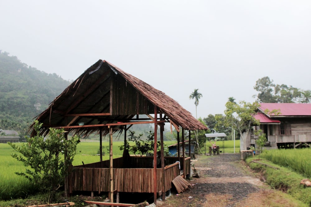 Entra Lodge Mountain View