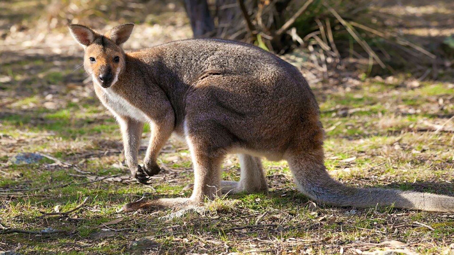 Little Nest Spa Retreat — image 24