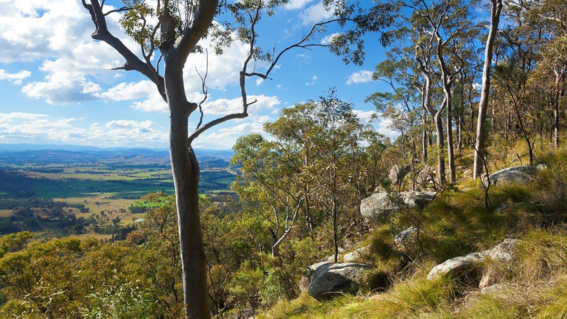 Little Nest Spa Retreat — image 21