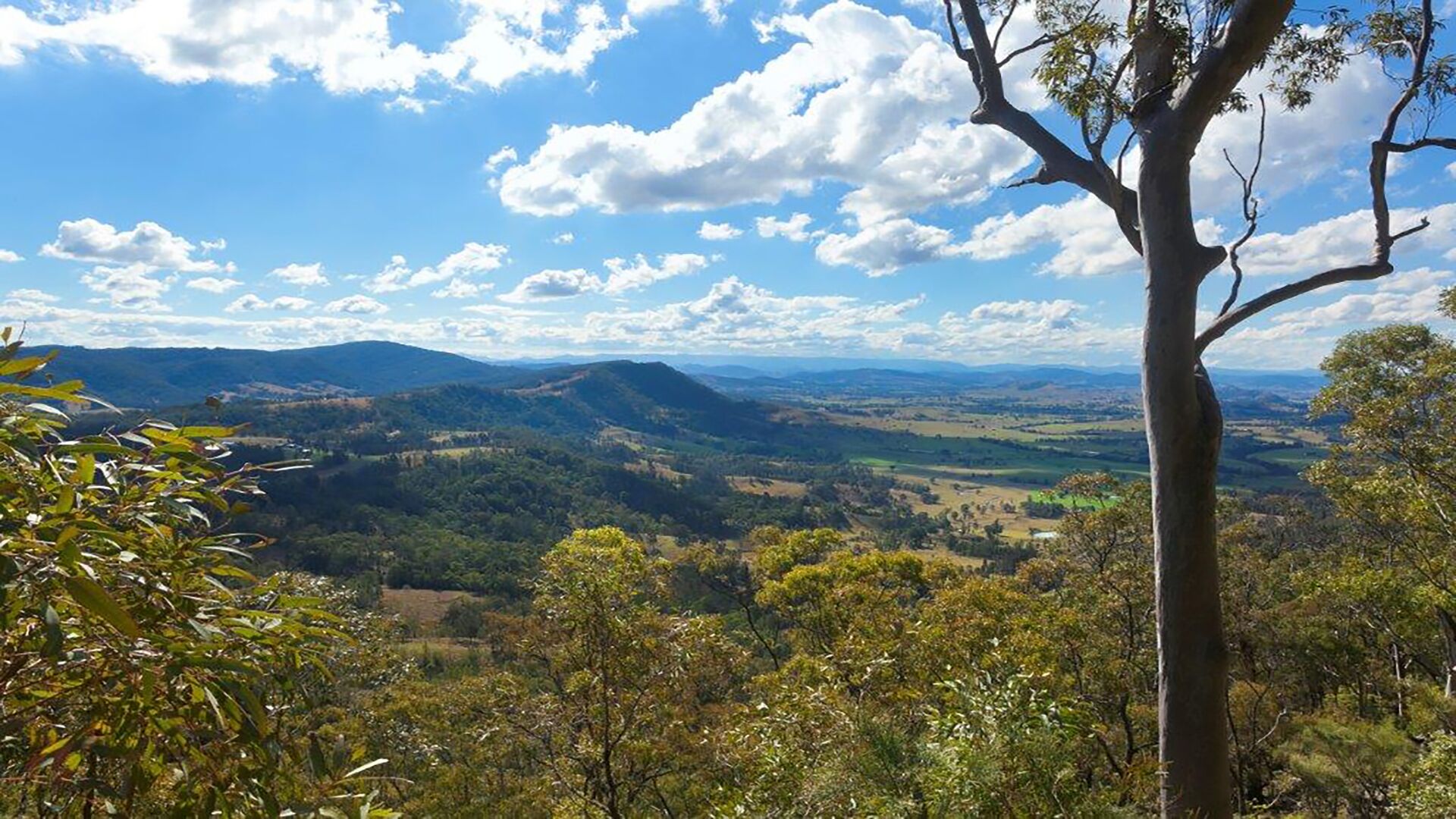 Little Nest Spa Retreat — image 19