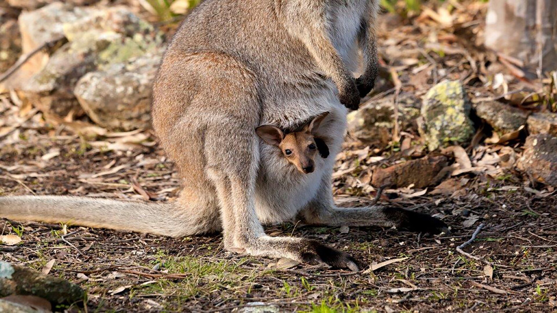 Little Nest Spa Retreat — image 22