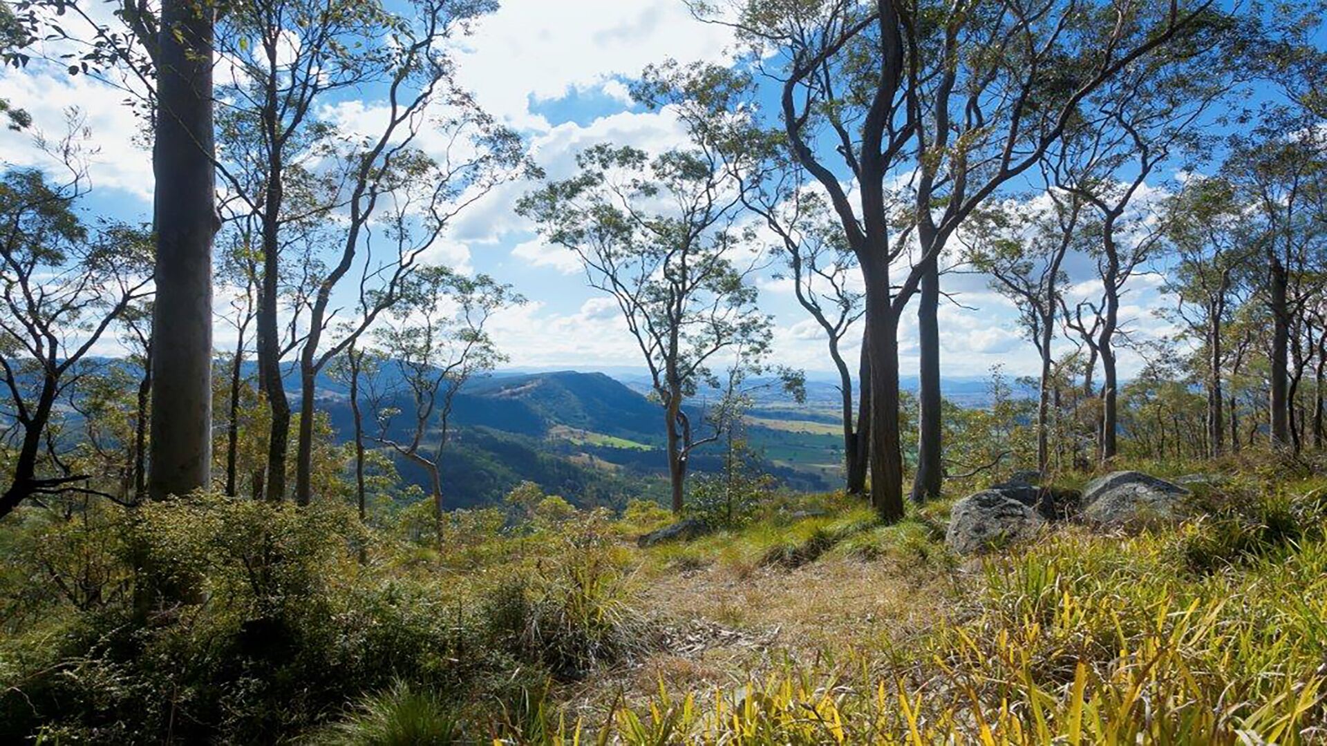 Little Nest Spa Retreat — image 20