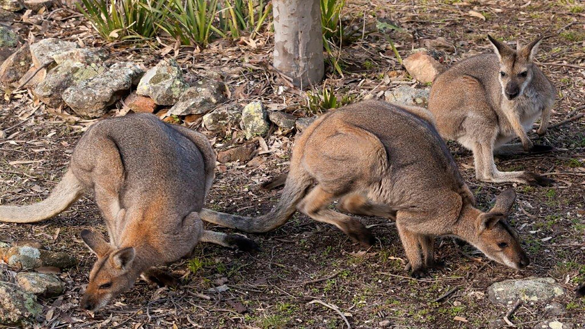 Little Nest Spa Retreat — image 23