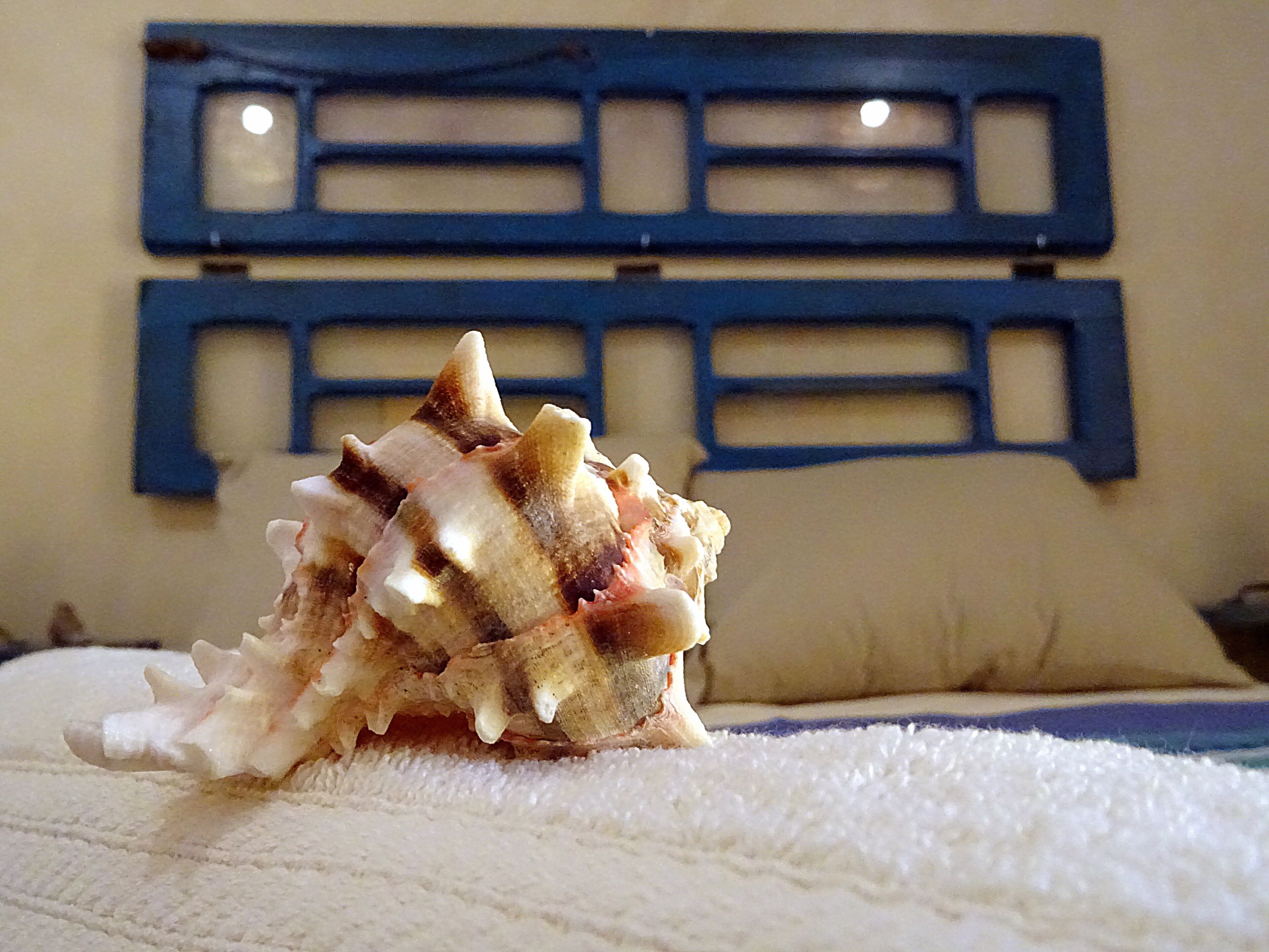 Hotel Flor de Mayo Centro Merida