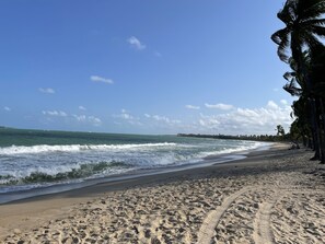 A sandy beach with footprints leading to the water, a clear sky, and palm trees in the background.