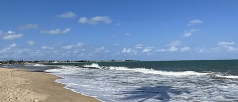Playa en los alrededores y camastros