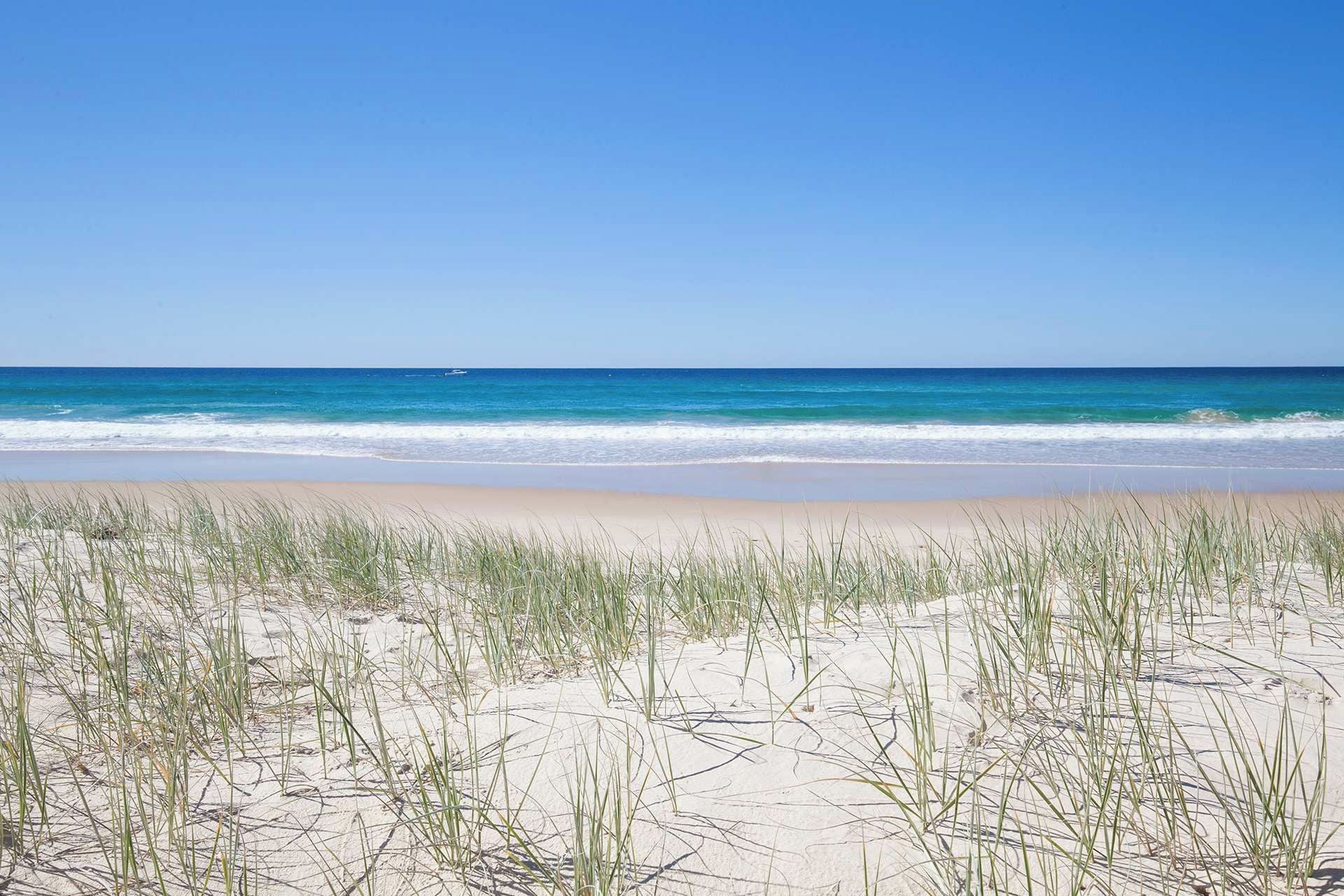 A beach with sand and grass in the foreground and a clear blue sky.
