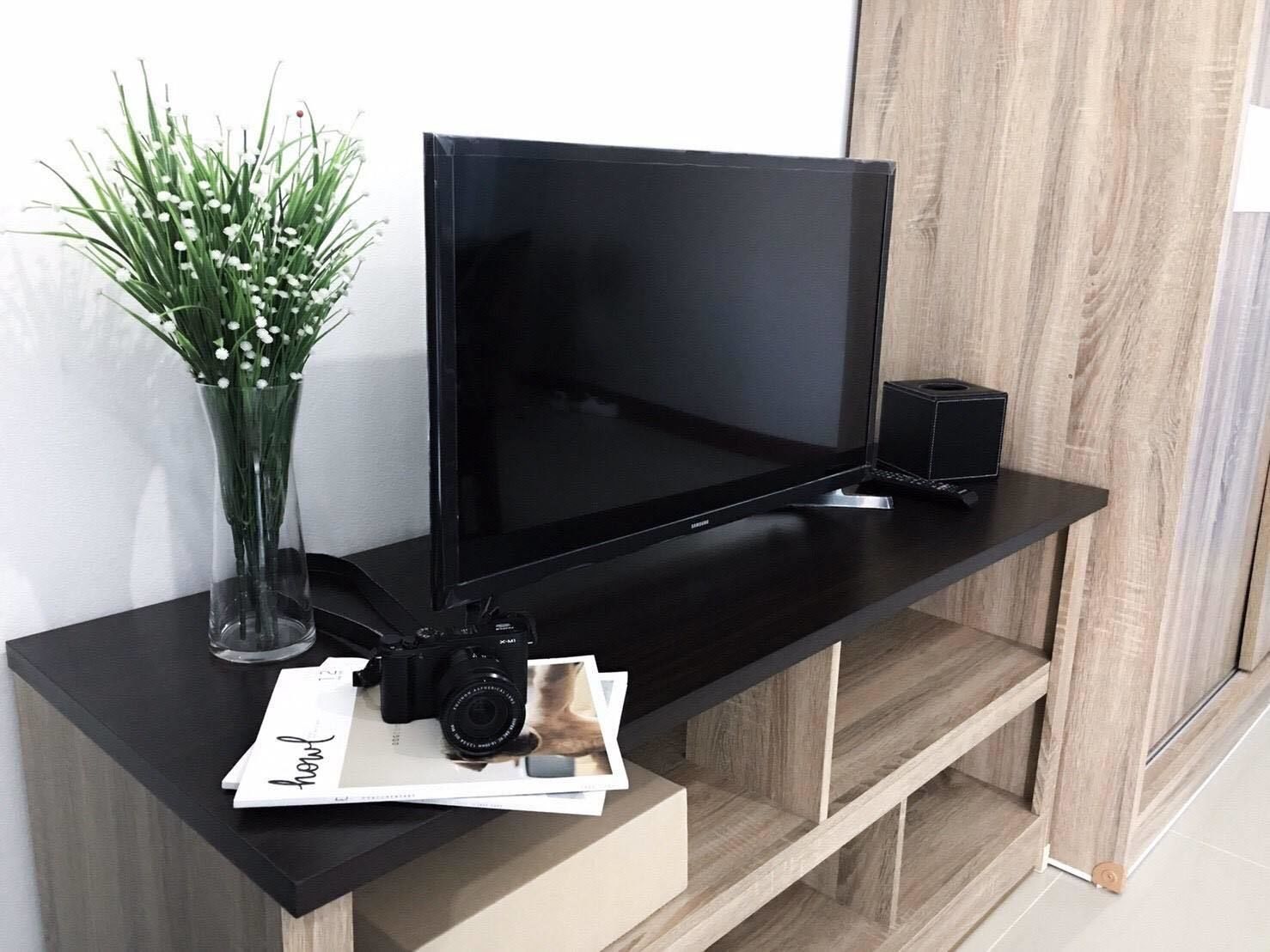 basic apartment | television