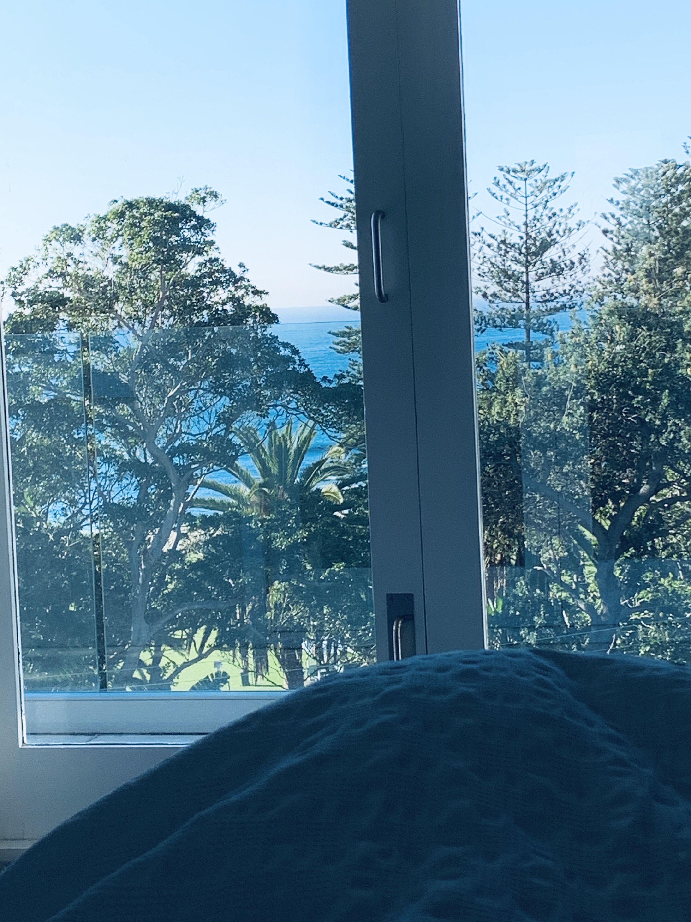 winter view, from bed! Wake up to this every morning.