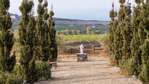 A vineyard path with a statue, surrounded by tall evergreen trees. - Kota Villa with private pool (Santorini)