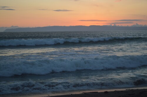 Frith Estate Beachfront Cabin Surfer's Dream!