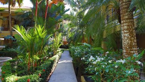 A narrow pathway flanked by lush greenery and palm trees, leading to a building with a yellow facade. - Second-Floor Pool-View Condo – Your Perfect Beach Retreat in Jacó (Jacó)