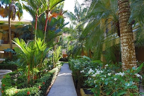 Terrein van de accommodatie