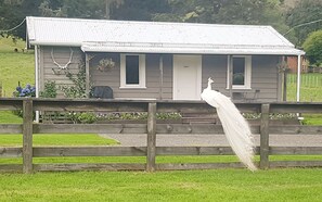 Exterior - Devcich Historic Farmstead - Cottage (Thames)