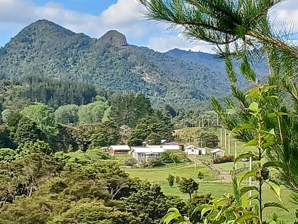 Imagen general