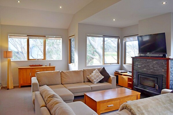 Smart TV, fireplace, DVD player, video library