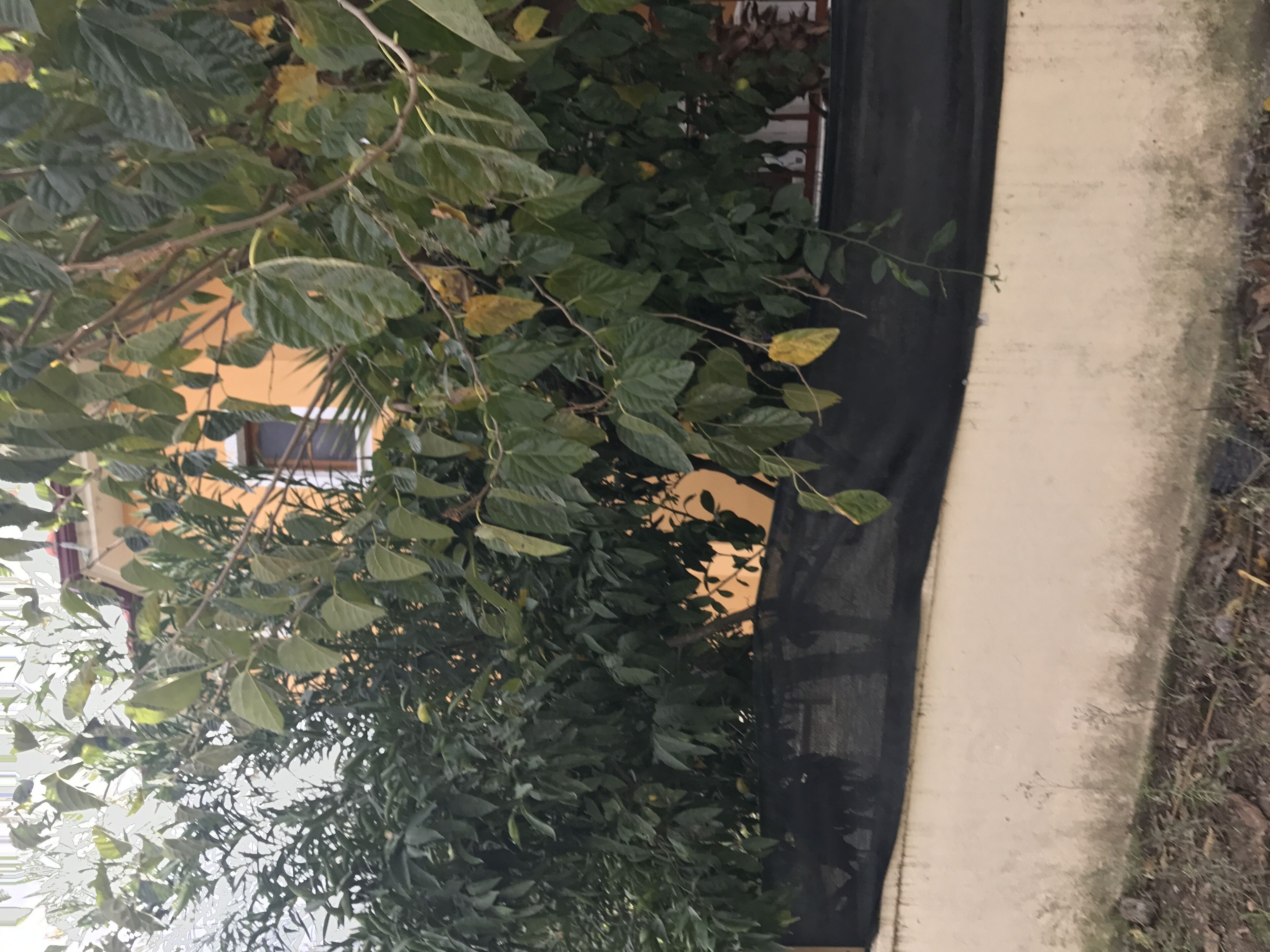 Semi Detached Villa In Peaceful Location 