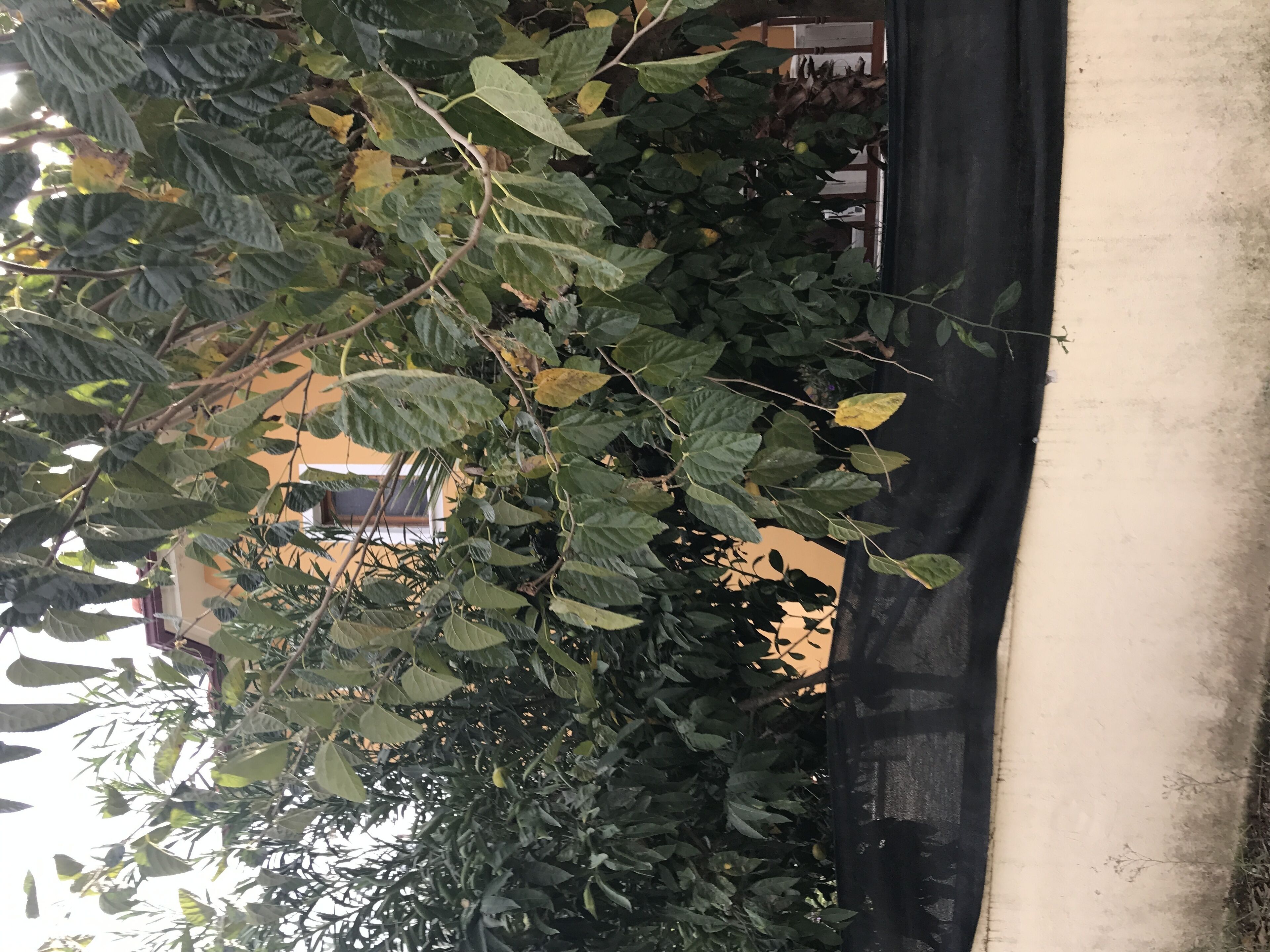 Semi Detached Villa In Peaceful Location 