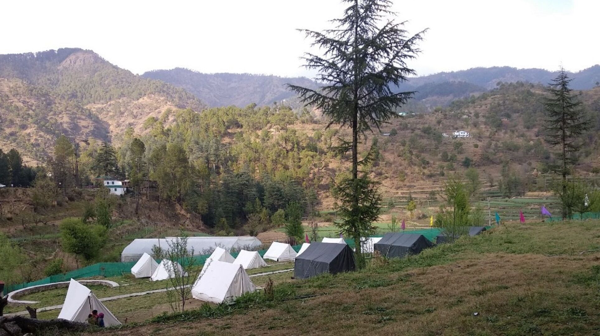 Fagu Resort and Adventure Camp