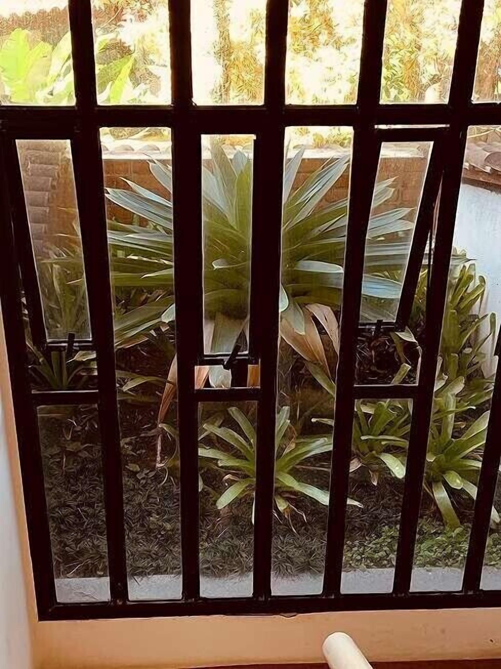 A window with a metal grid, through which a garden with various plants is visible.