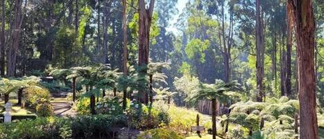 Servei de restauració a l'aire lliure
