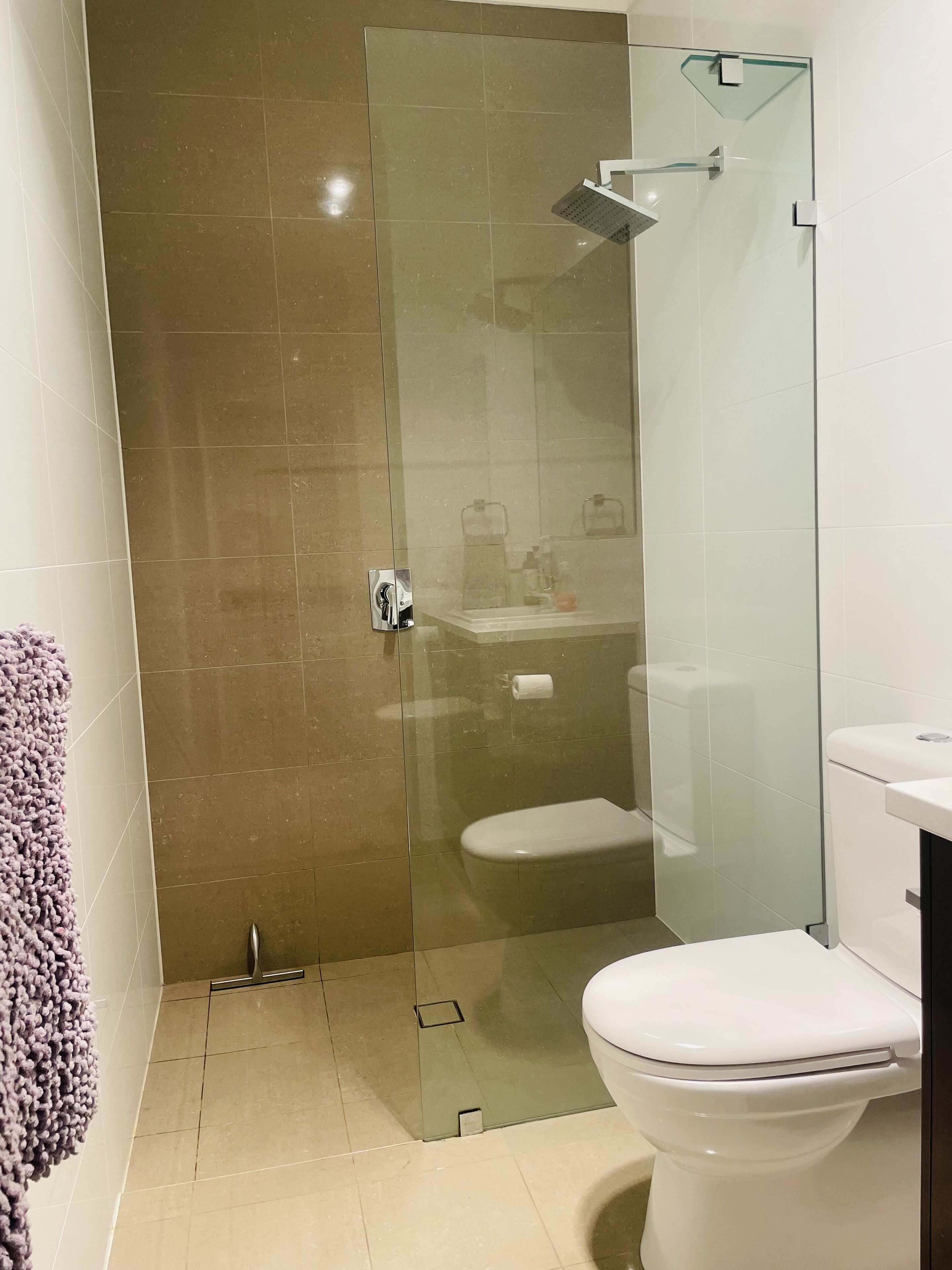 A modern bathroom with a glass-enclosed shower, a white toilet, and a glass shower door.