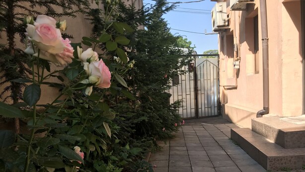 Un étroit sentier menant à une entrée fermée par un portail, entourée d’une végétation luxuriante et de plantes en fleurs.